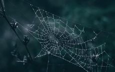 Article Image for Blockchain Innovations Beyond Cryptocurrency