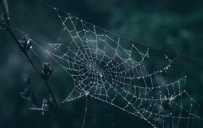 Article Image for Blockchain Innovations Beyond Cryptocurrency