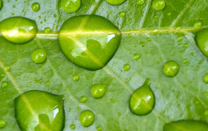 Article Image for Innovations in Green Technology and Commercial Viability