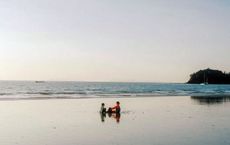 Article Image for Investment Opportunities in Nordic Clean Tech