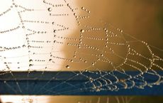 Article Image for Investment Trends in the Metaverse and Web3