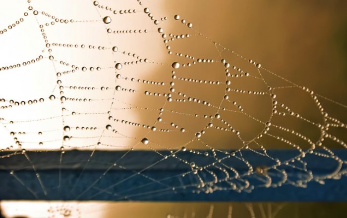 Article Image for Investment Trends in the Metaverse and Web3