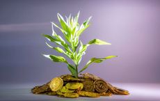 Article Image for Sustainability Meets Finance: ESG Investing That Really Delivers