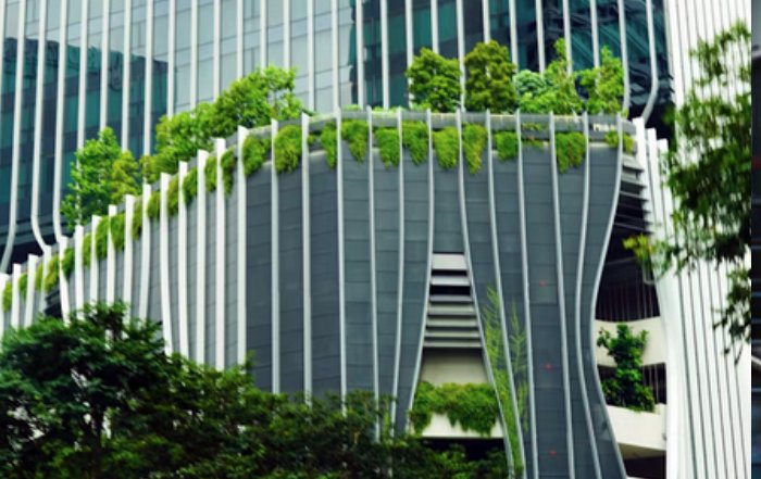 Article Image for Sustainable Finance Shapes Investment Decisions