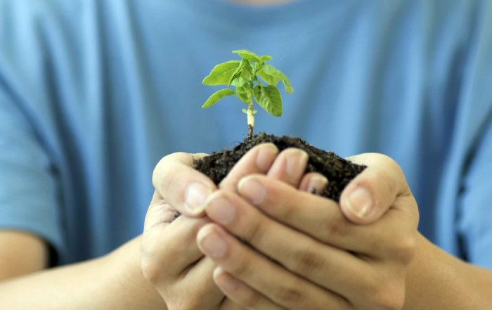 Article Image for Sustainable Growth Aligns Profit and Purpose