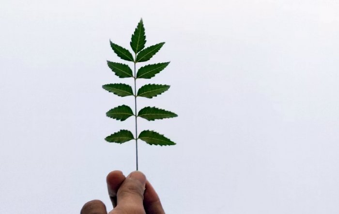 Article Image for Sustainable Investing Moves Into the Mainstream