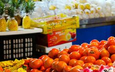 Article Image for Sustainable Supply Chains and Consumer Demand