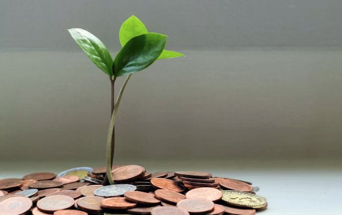 Article Image for Sustainable Technology Gains Support from Investors