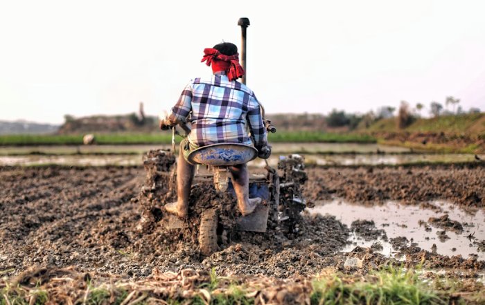 Article Image for Technological Solutions to Food Security Challenges