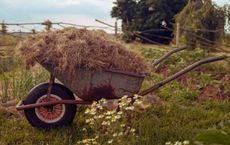 Article Image for Technology as a Driver for Sustainable Agriculture