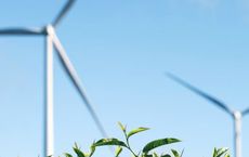 Article Image for The Green Transition and Its Economic Implications